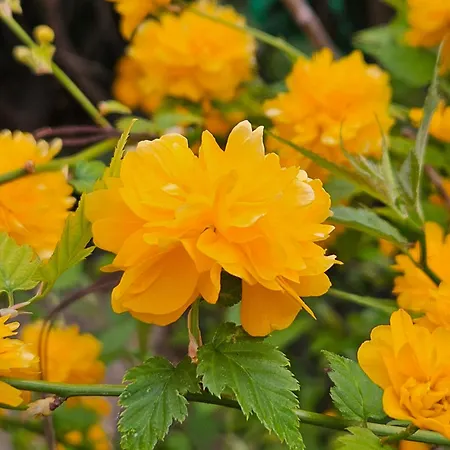 Apartment Ag House Assisi