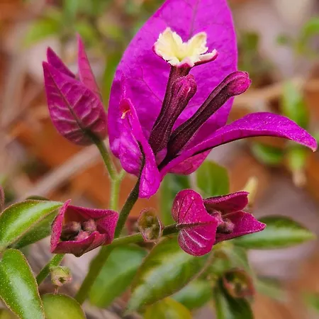 Apartman Ag House Assisi