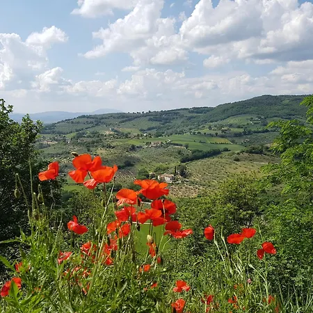 Daire Ag House Assisi