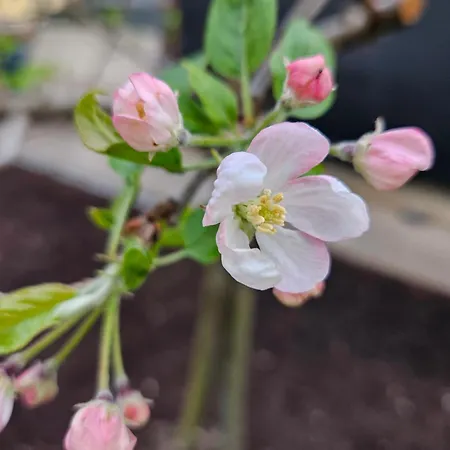 Lejlighed Ag House *