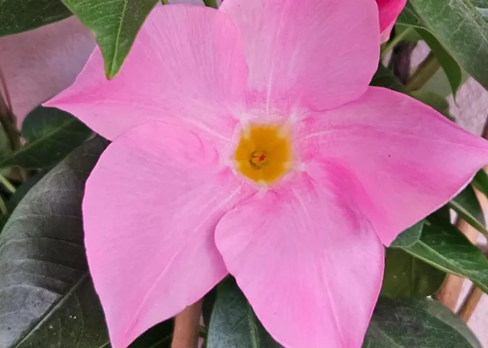 Apartment Ag House *