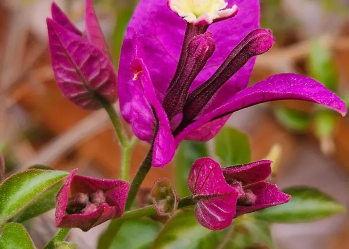 Apartment Ag House Assisi