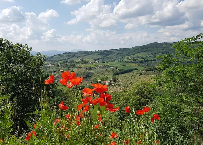 Apartment Ag House Assisi